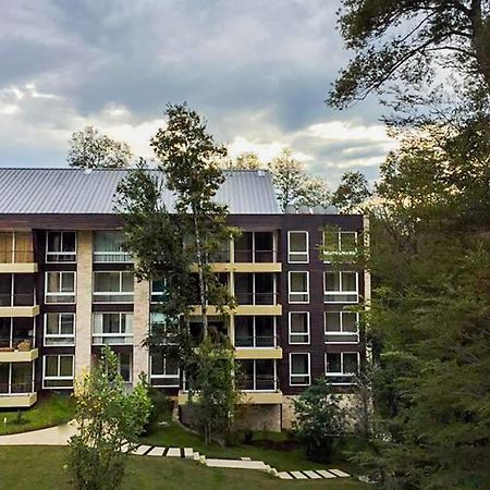 Апартаменты Departamento Familiar Пукон Экстерьер фото
